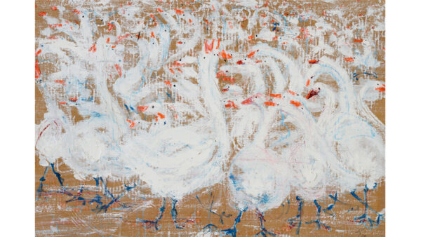 Gänseblau - Elke Heber