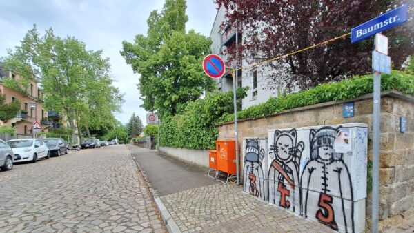 Die Baumstraße - Foto: Jakub Gawlik