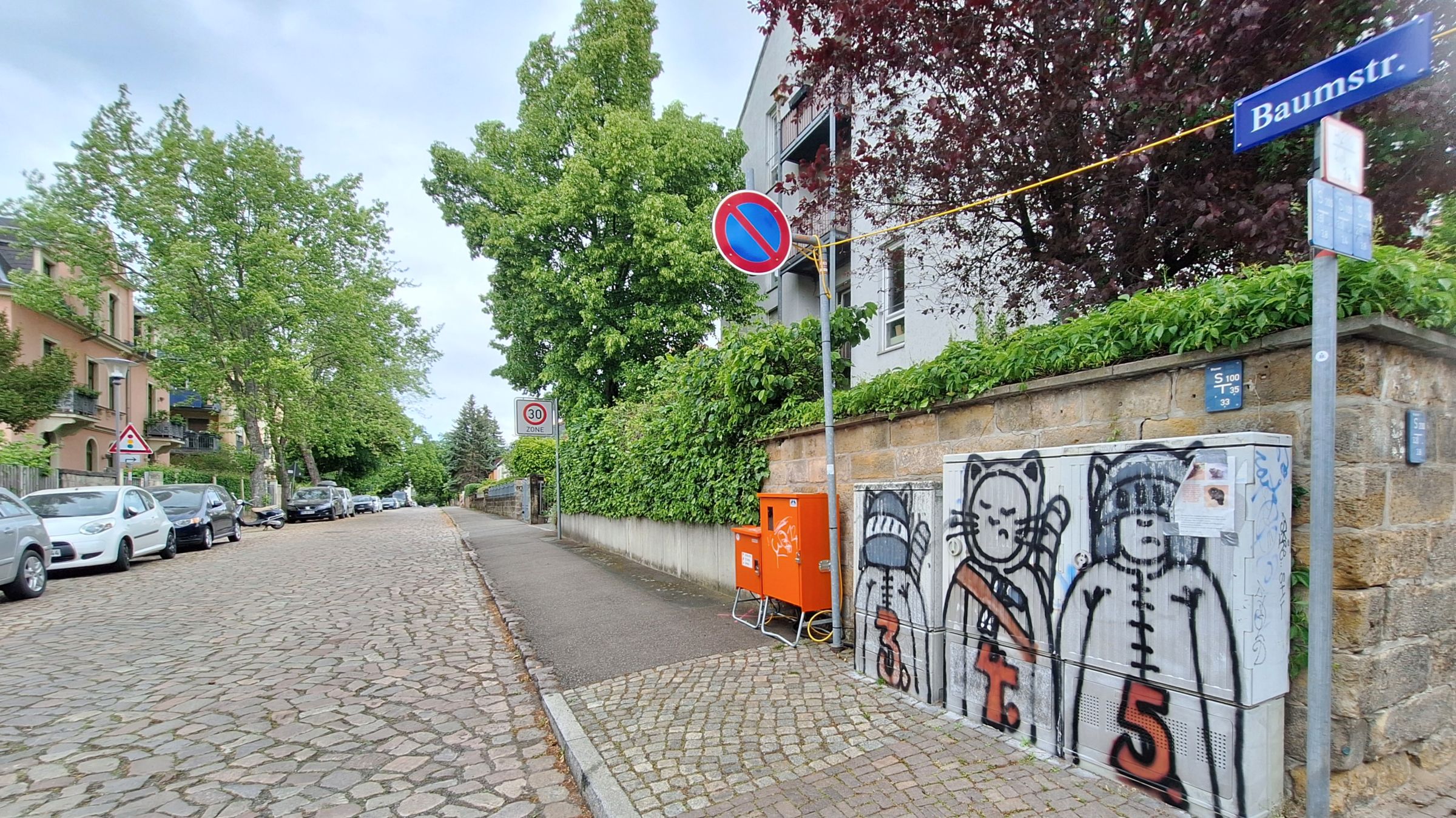 Die Baumstraße - Foto: Jakub Gawlik