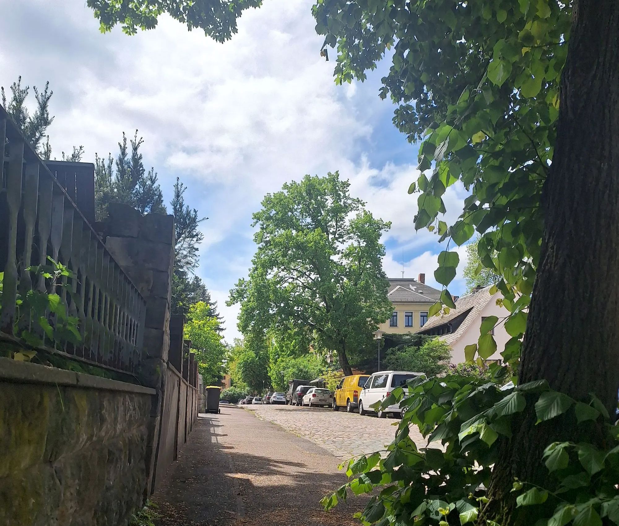 Die Baumstraße hat ihren Namen redlich verdient. Foto: Jakub Gawlik