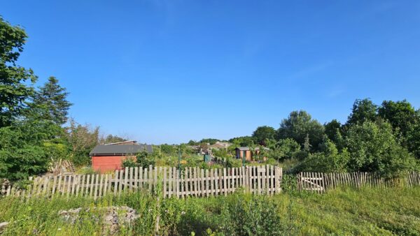 Kleingartenverein „Robinienhain“ am Hammerweg - Foto: Anton Launer