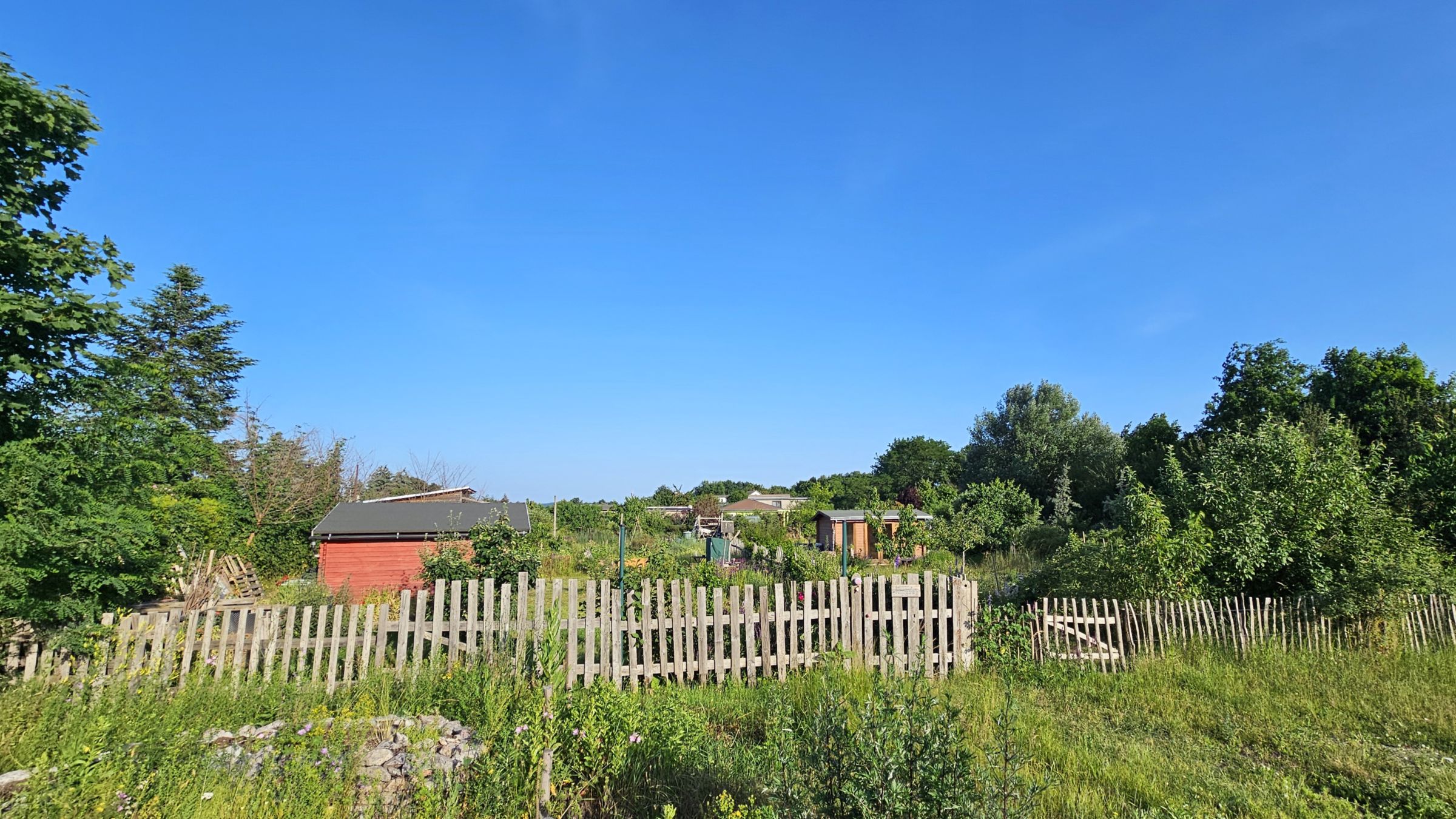 Kleingartenverein „Robinienhain“ am Hammerweg - Foto: Anton Launer