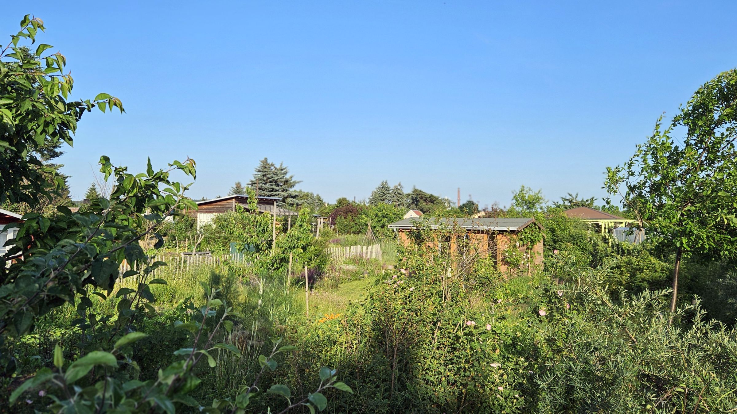 Wildromantische Gartenanlage - Foto: Anton Launer