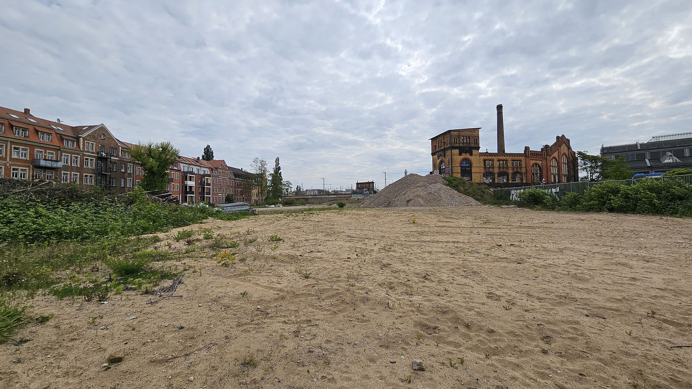 Das kleine Wäldchen wurde abgeholzt, ansonsten liegt die Fläche an der Hansastraße brach. Foto: Anton Launer