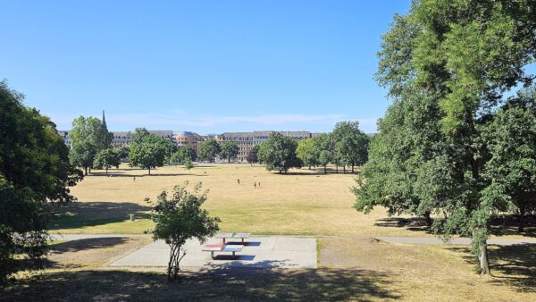Sommerlicher Alaunplatz - Foto: Anton Launer