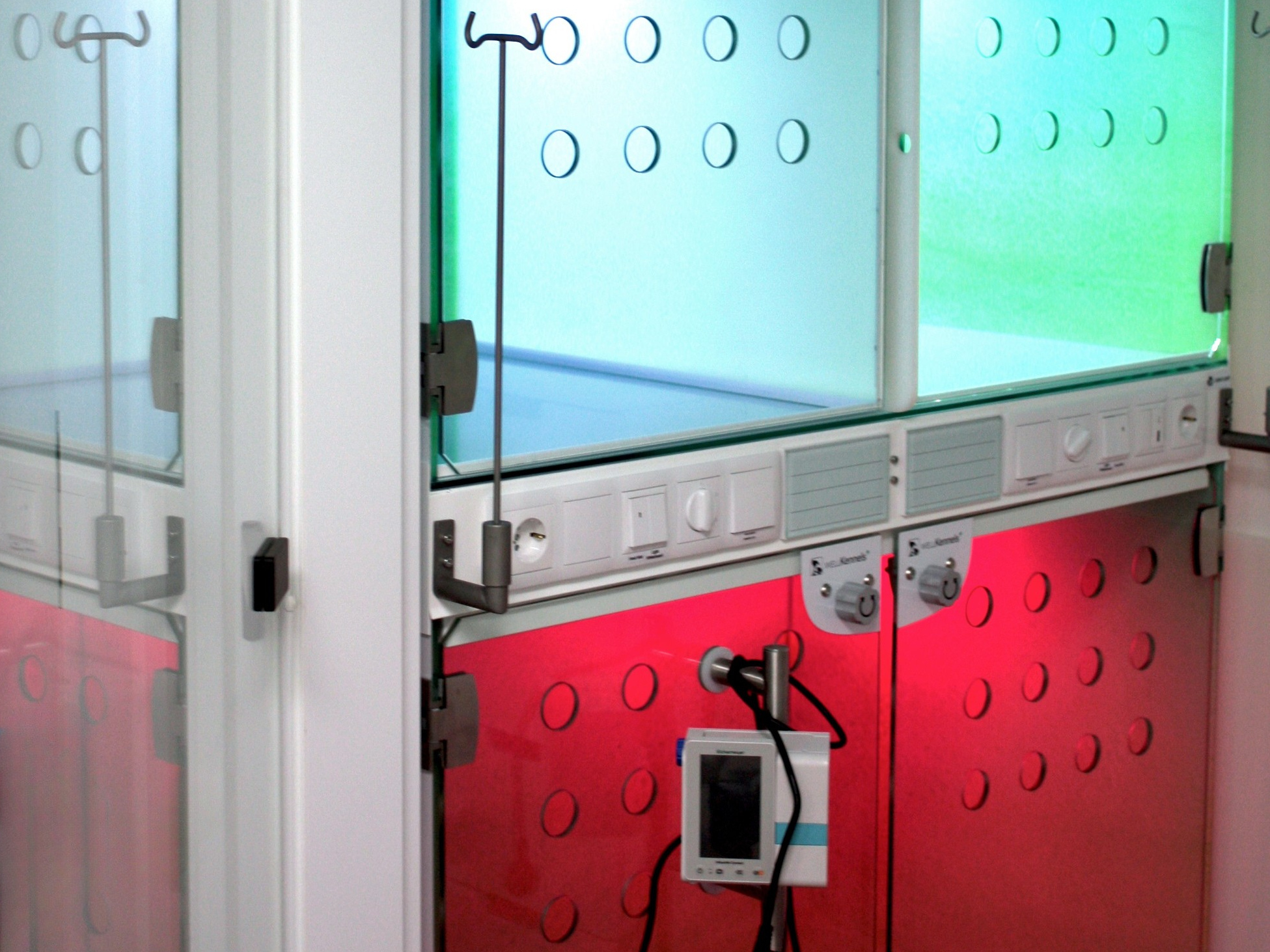 So schön bunt! Die Farben der Stationsboxen können angepasst werden. Die Boxen für Katzen sind nicht bodentief und teilweise blickdicht. Foto: Victor Franke