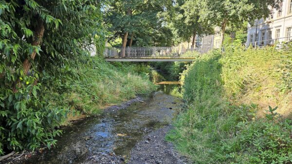 Spärlich zwar, aber noch fließt das Bächlein. Foto: Anton Launer