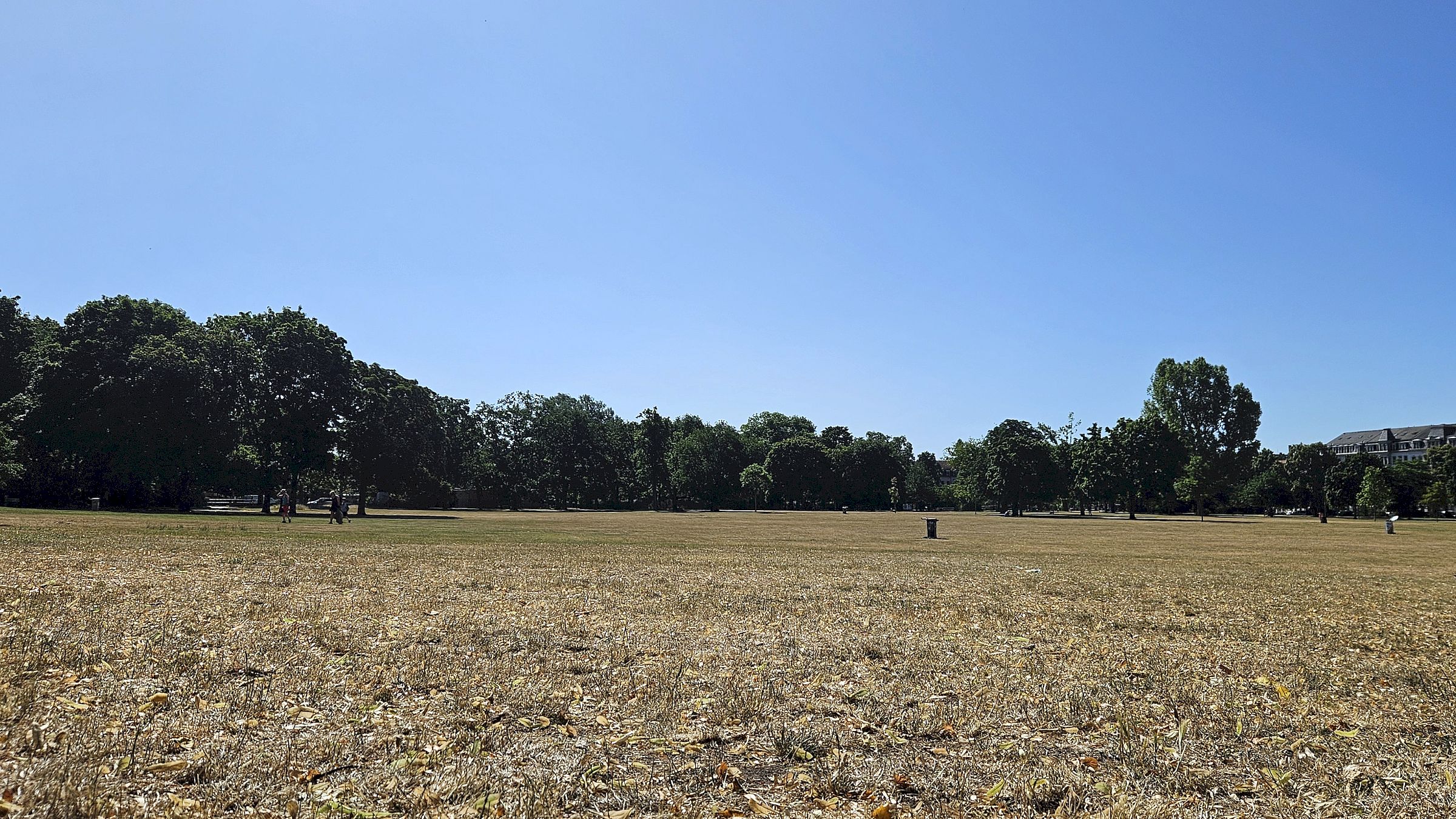 Alaunplatz in der Mittagshitze bitte meiden - Foto: Anton Launer