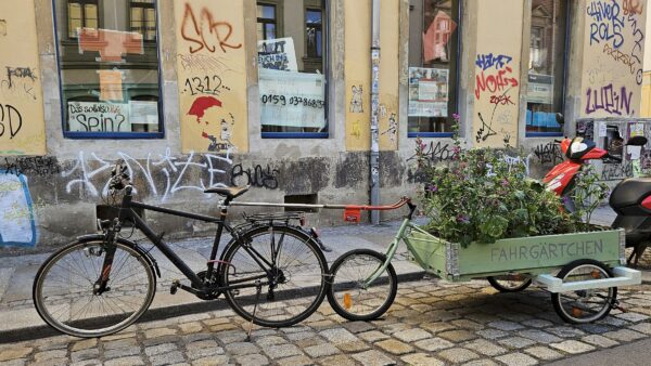 Das Fahrgärtchen auf der Prießnitzstraße - laut Ordnungsamt handelt es sich um einen Gegenstand, der eine Sondernutzungsgenehmigung braucht. Foto: Anton Launer