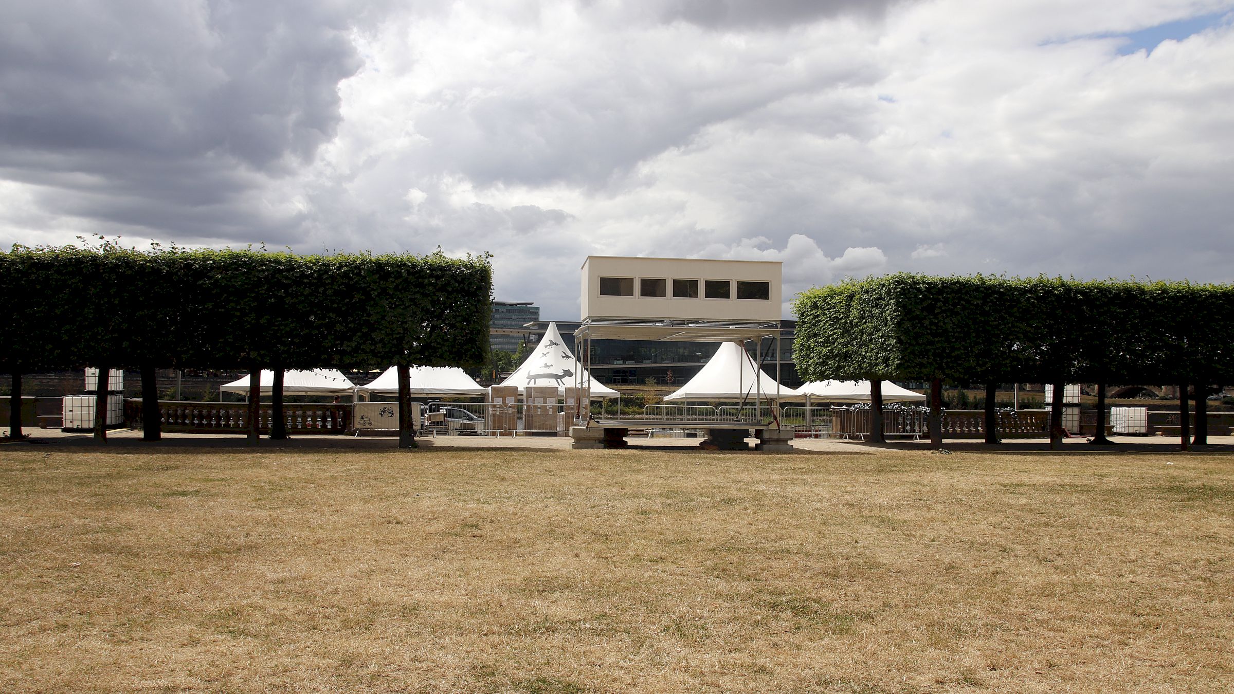 Katzenwirtschaft unter den Bäumen - Foto: Anton Launer