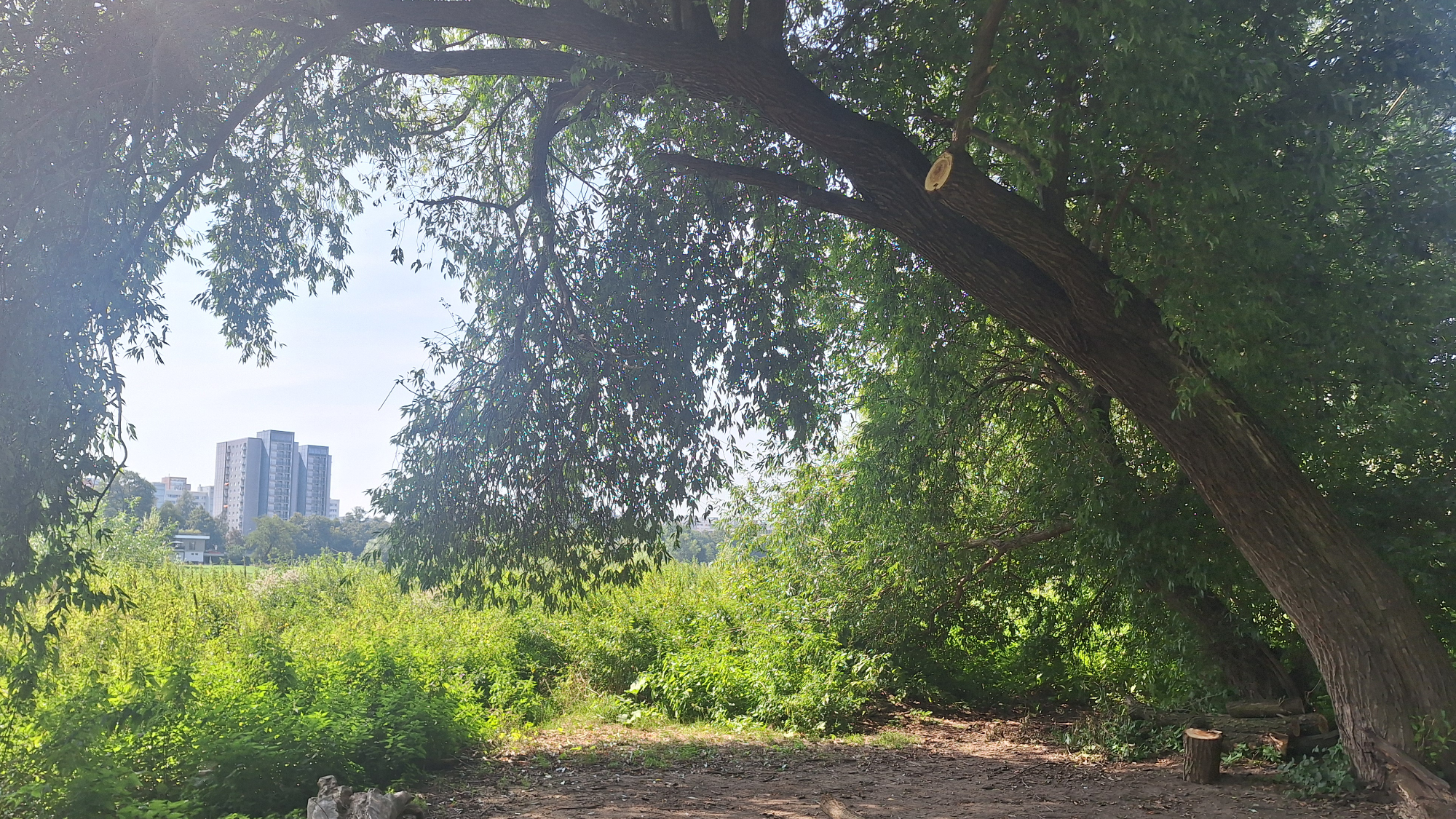 Dieses herrliche Bild hat einen nachhaltigen "Makel": Ast und Schaukel fehlen.