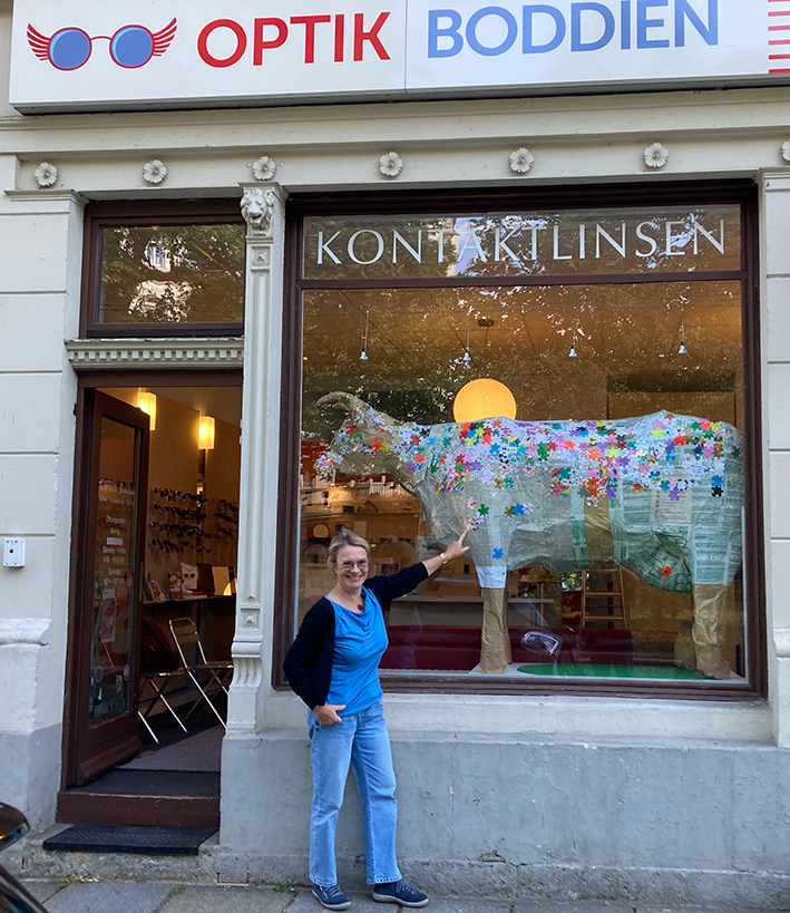 Kuh im Schaufenster. 