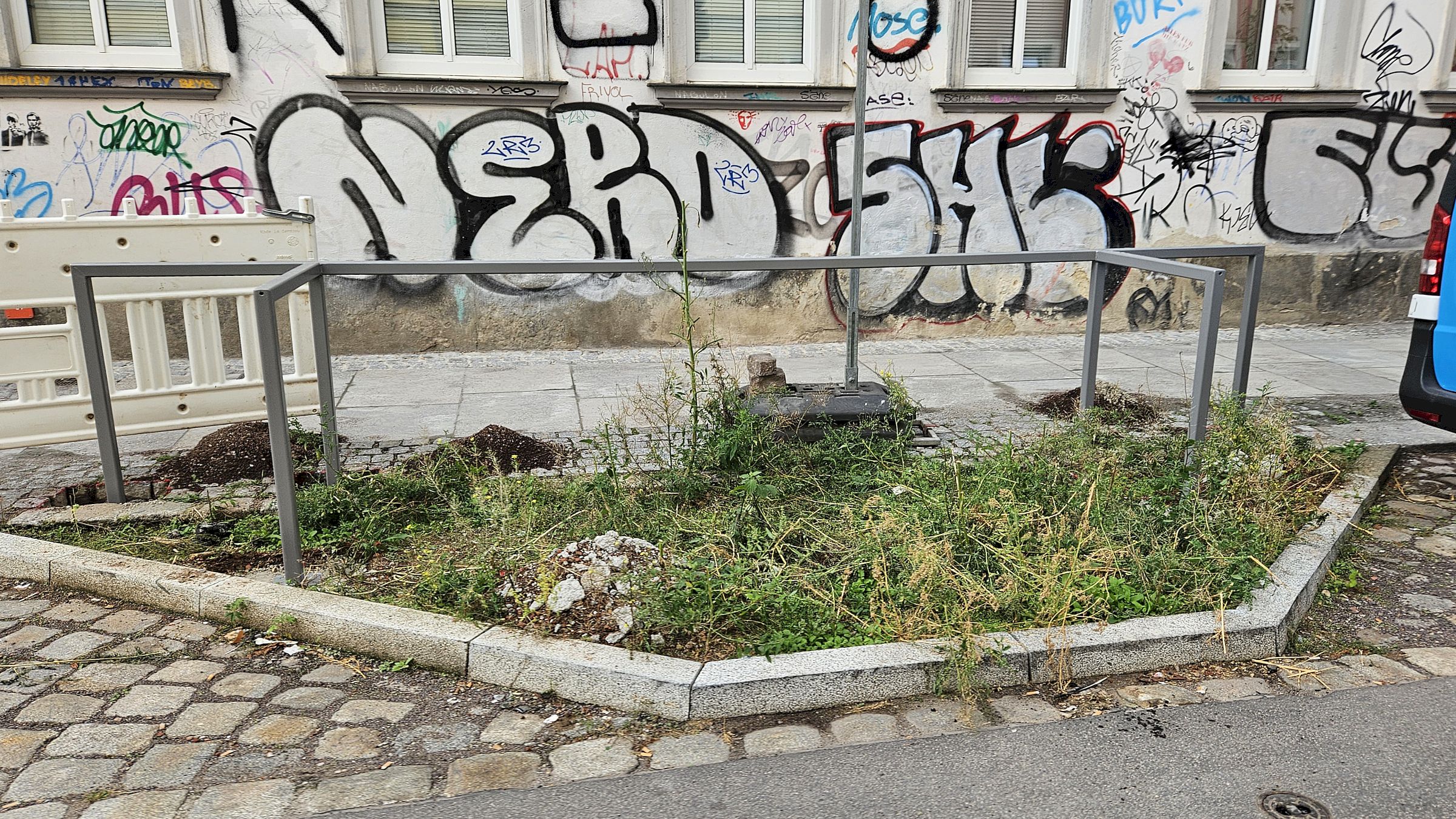 Eine von elf Baumscheiben: die Bäume werden im Oktober gepflanzt. Foto: Anton Launer