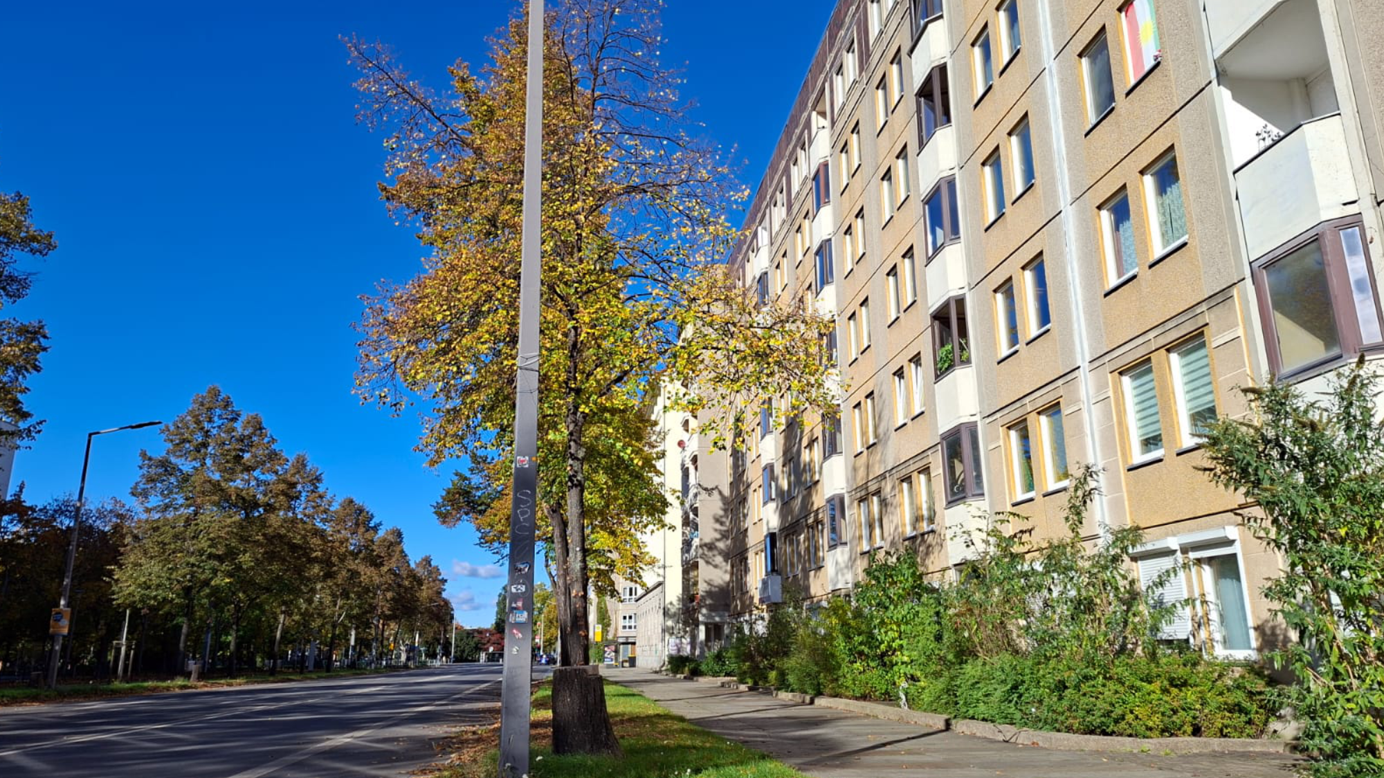 Ruhe vor den Fenster - bis die neue Brücke kommt.