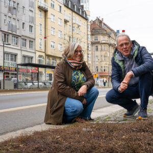 Ulla Wacker (Grüne) und Norbert Rogge (Grüne) vor einer umbepflanzten Baumscheibe an der Bautzner Straße. Foto: Sebastian Diehl