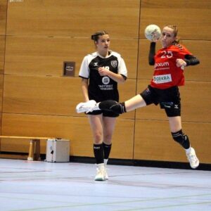 Starker Angriff, starke Abwehr - Foto: Sportfreunde01