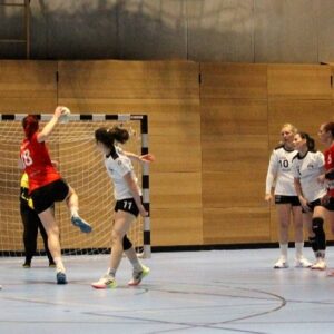 Sportfreunde unterliegen der SG Klotzsche knapp Die Handballerinnen der Sportfreunde musste sich mit einer knappen Niederlage gegen Klotzsche geschlagen geben. Foto: Sportfreunde01