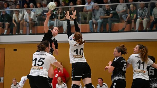 Gegen den überragenden Angriff der Weißenbornerinnen hatten die Dresdner Handballerinnen nur wenig entgegen zu setzen. Foto: Gerd Klemm